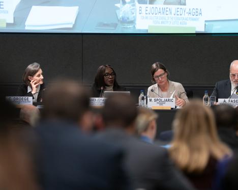 Global IHL Initiative 