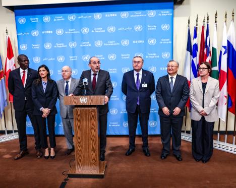 Global IHL Initiative - media stakeout on the margins of the UN General Assembly